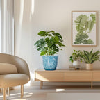 8 Inch Plant Pot - Image 7