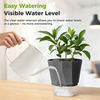 6 Pack Self Watering Plant Pots 8.4" Self Watering Planters - Image 9