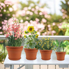 13 Inch Plastic-Flower-Pot-for-Indoor-Plants, 4 Pack Large Outdoor Planter Pot - Image 5