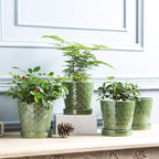 EFISPSS Flower Planter –5 inch Ceramic Plant Pots - Image 6