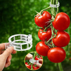 FEED GARDEN 120Pcs Plant Clips for Climbing Plants-Tomato, Grape & Vegetable by FEEDGARDEN