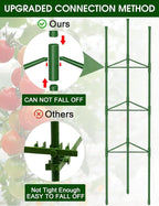 Tomato Cage for Garden, 6 Pack Tomato Trellis for Raised Garden Bed Height - Image 3