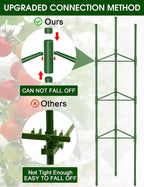 Tomato Cage, Raised Garden Bed Plant Support Stakes - Image 2