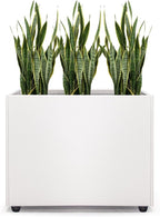 Planter Box Rectangular Block by Zezgeuro
