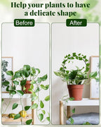 3 Pcs Unique Round Hoya Garden Trellis, Different Small Houseplant Trellis - Image 4