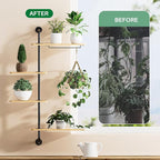 YUOROS Window Shelf for Plants, 4-Tier Rotating Window Sill Plant Shelves Stand - Image 5