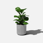Veradek Demi Series Round Planter - Image 8