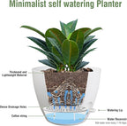 12 inch Large Self Watering Pots - Image 4