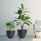 12/10/9 inch Large Self Watering Pots, Plant Pots - Image 7