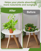 3 Pack Larger Acrylic U-Shaped Hoya Trellis, 16 Inch Indoor Climbing Plant - Image 4