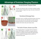 Hanging Planter Self Watering 10 Inch, 2 Pack Indoor Outdoor Hanging Baskets - Image 6