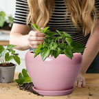 Ceramic Modern Glaze Succulent Planter Pot - Image 5