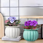 BUYMAX African Violet Pots, 6 inch Pumpkin-Style Ceramic Easy Self Watering - Image 6