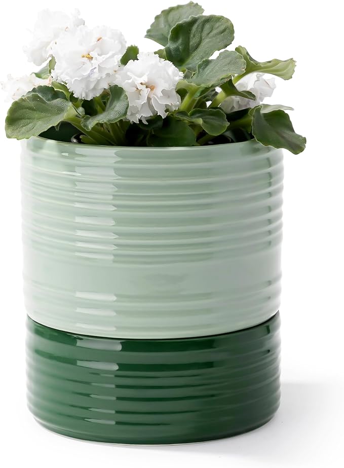 Self Watering Pots for Indoor Plants, 6 Inch Ceramic Self Watering Plant Pot by FayoulasGarden
