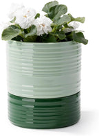Self Watering Pots for Indoor Plants, 6 Inch Ceramic Self Watering Plant Pot by FayoulasGarden