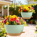 10 Inch Hanging Baskets 2 PC - Image 7