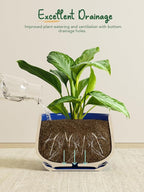 LE TAUCI Plant Pots, 4.1+5.1+6.5 inch, Ceramic Planters - Image 4