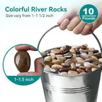 10 lbs River Rocks, 1-1 1/2 inch Plant Rocks - Image 2