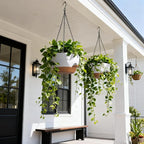 13 Inch 2 Pack Large Self Watering Hanging Planters - Image 2