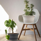 6 Pack 10 inch Plant Pot, Round Plastic Plant Pots, Outdoor Pots - Image 6