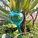 Plant Watering Stakes, Large 12pcs Flower Automatic Watering Bulbs, Plastic - Image 3