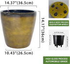Dexceder 15x14 Self Watering Planter - Image 3