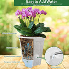 Cdd's Path 5-Pack 6 Inch Self Watering Naked Root Planter Pots - Image 5