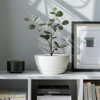 T4U 8 Inch Plant Pots, Plastic Planters - Image 5
