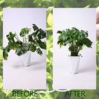 White Monstera Plant Stem Support - Image 3