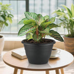 5 Pack 10 Inch Plant Pots Plastic Planters - Image 7