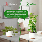 17.5 Inch Plant Trellis Indoor for Climbing Plants, Metal Small Garden Trellis - Image 3