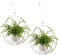 2 Pack Hanging Planter Holder for Indoor Plants, Plant Hanger by hismocal
