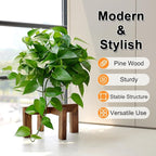 Plant Stand, Indoor/Outdoor Wood Plant Holder, Single Flower Pot Stand - Image 4