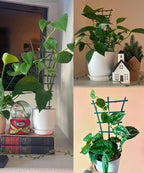 Plant Trellis Indoor, Small Plant Climbing Trellis - Image 7