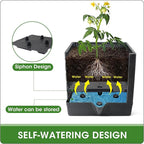 MQFORU 2 Packs Raised Garden Bed Tomato Planter - Image 3