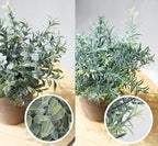 Lemonfilter Small Fake Plants, Fake Potted Plant - Image 3