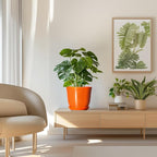 Ceramic Planter - Image 7