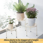 Plant Stand, 5 Pack Heavy Duty Flower Pot Stands, Metal Decoration Racks - Image 7