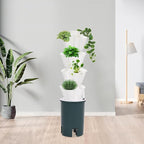 Hydroponic Growing System Indoor, 20-Hole Vertical Garden Planter Germination - Image 6