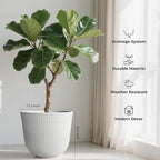 WORTH Garden Round Large Planter Pot 1-Pack - Image 2