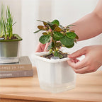 FAMZ Self Watering Pots for Indoor Plants 3 Pack，Clear Plant Pots - Image 6