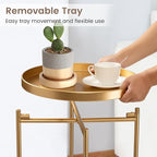 danpinera 2-Tier End Table, Outdoor Side Table Metal Round Side Table - Image 4