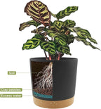 QCQHDU 6.5 inch Plant Pot, 2 Pack Planters - Image 4