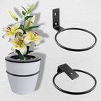 2-Pack 4 inch Flower Pot Holder Ring, Wall Mounted Metal Planter Hanger - Image 6