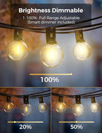 XMCOSY+ Smart Outdoor String Lights, 75Ft G40 Globe Patio Lights - Image 4
