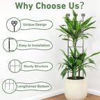 32in Large Indoor Plant Trellis - Image 4