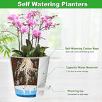 Orchid Pots with Holes, 6 Inch Self Watering Orchid Pot 2 Pack Plastic Plant - Image 3