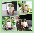 Smiley Face Rocking Chair Planters Flower Pots - Image 6