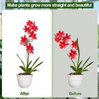 Mwellewm 3 Sets Plant Stakes 12/25/36 Inch Adjustable Plant Support Stakes Tall - Image 7