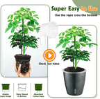 Self Watering Pots for Indoor Plants, Small African Violet Pots - Image 7